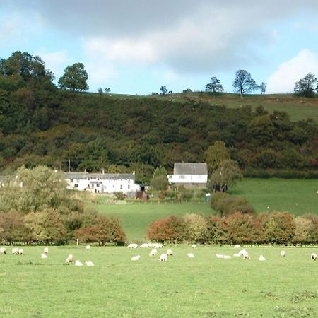 Osprey Cottage Bassenthwaite Exteriör bild