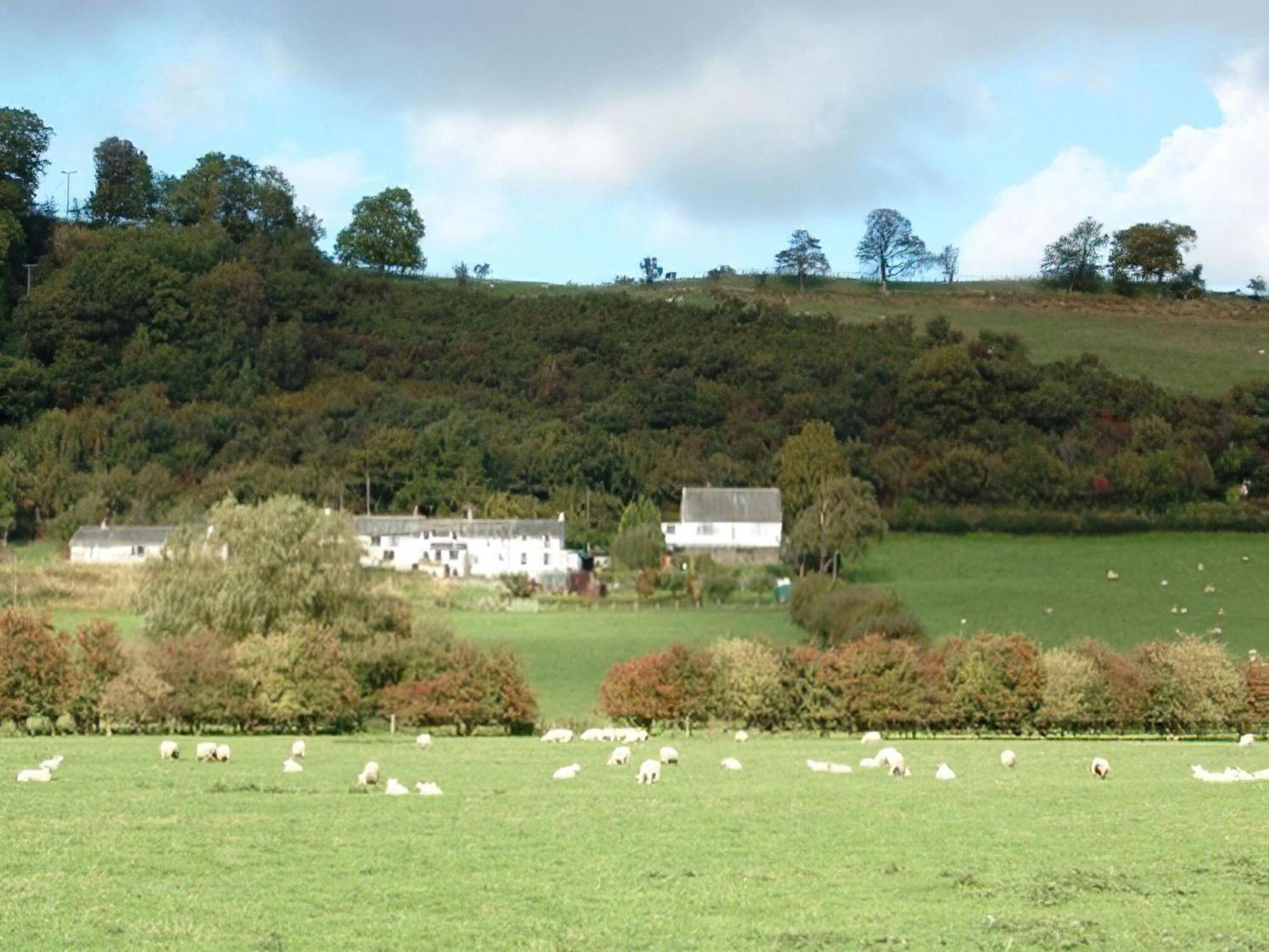 Osprey Cottage Bassenthwaite Exteriör bild